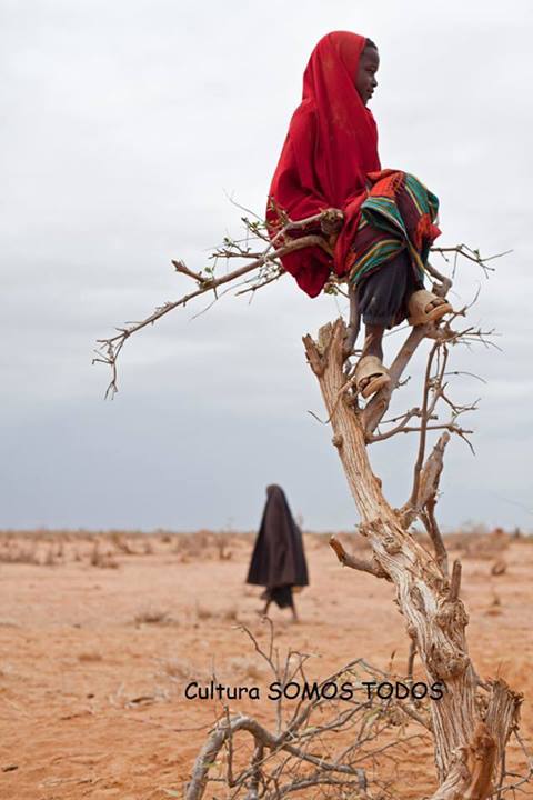LA FOTOGRAFÍA COMO TESTIMONIO.