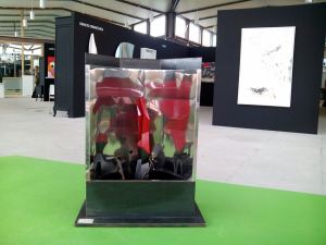 11124704_10152968556009125_6688672612948097159_n